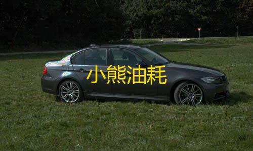 低价卡盟全网低价小熊油耗