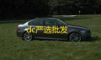 dc严选批发